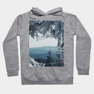 Winter Frame Hoodie